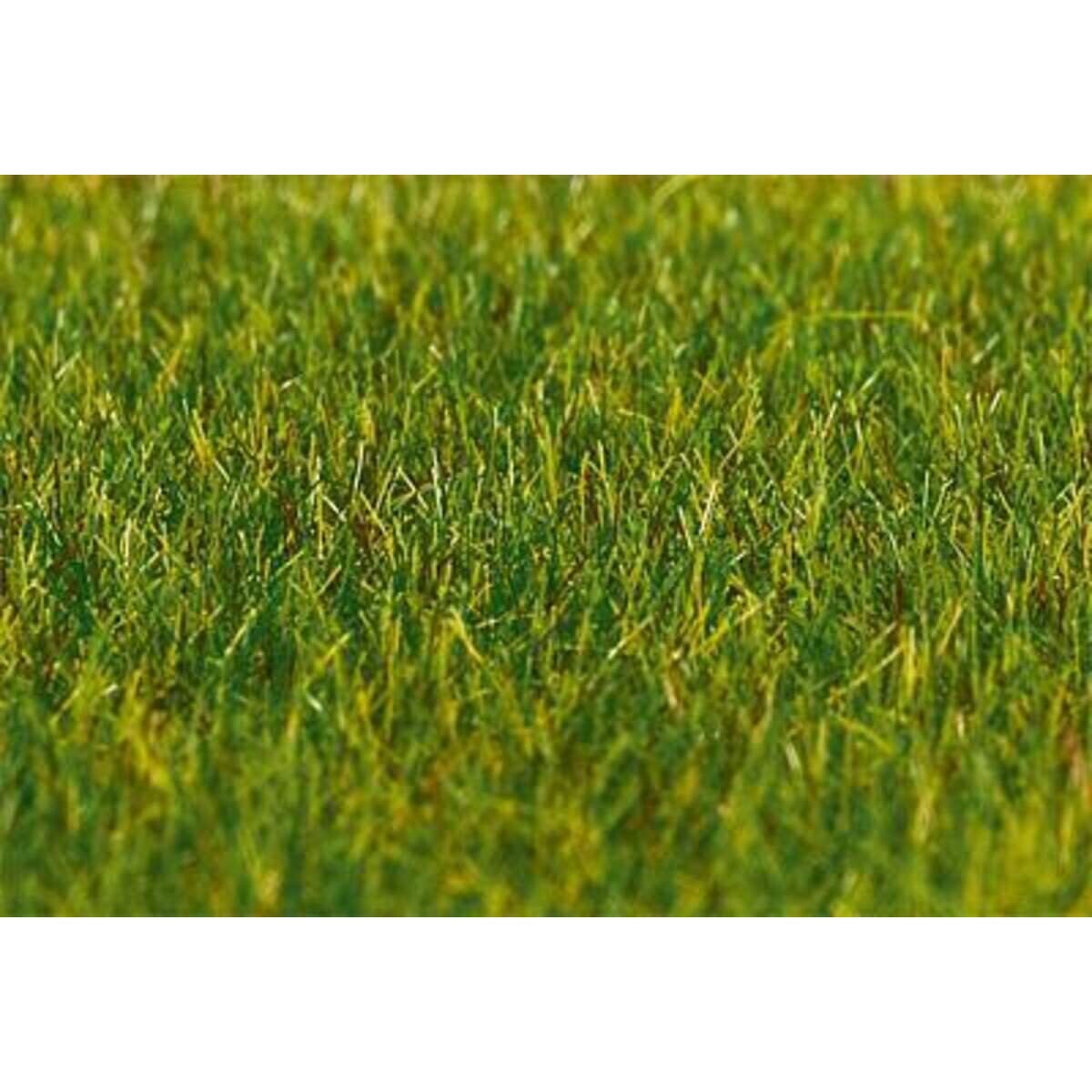faller-180485-premium-streufasern-gras-72E778951.jpg