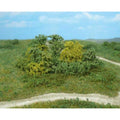 heki-1646---naturbuesche-64AE92A21.jpg