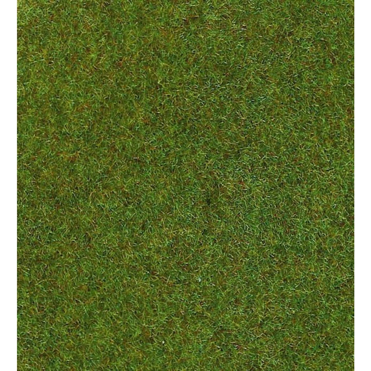 heki-30912---grasmatte-6B0DB0271.jpg