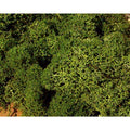heki-3222-islandmoos-mittelgruen-75-4310CDB91.jpg