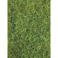 heki-3369---grasfaser-0EA50EC81.jpg