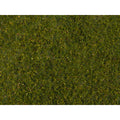 noch-07291-g-spur-1-32EBCFB31.jpg