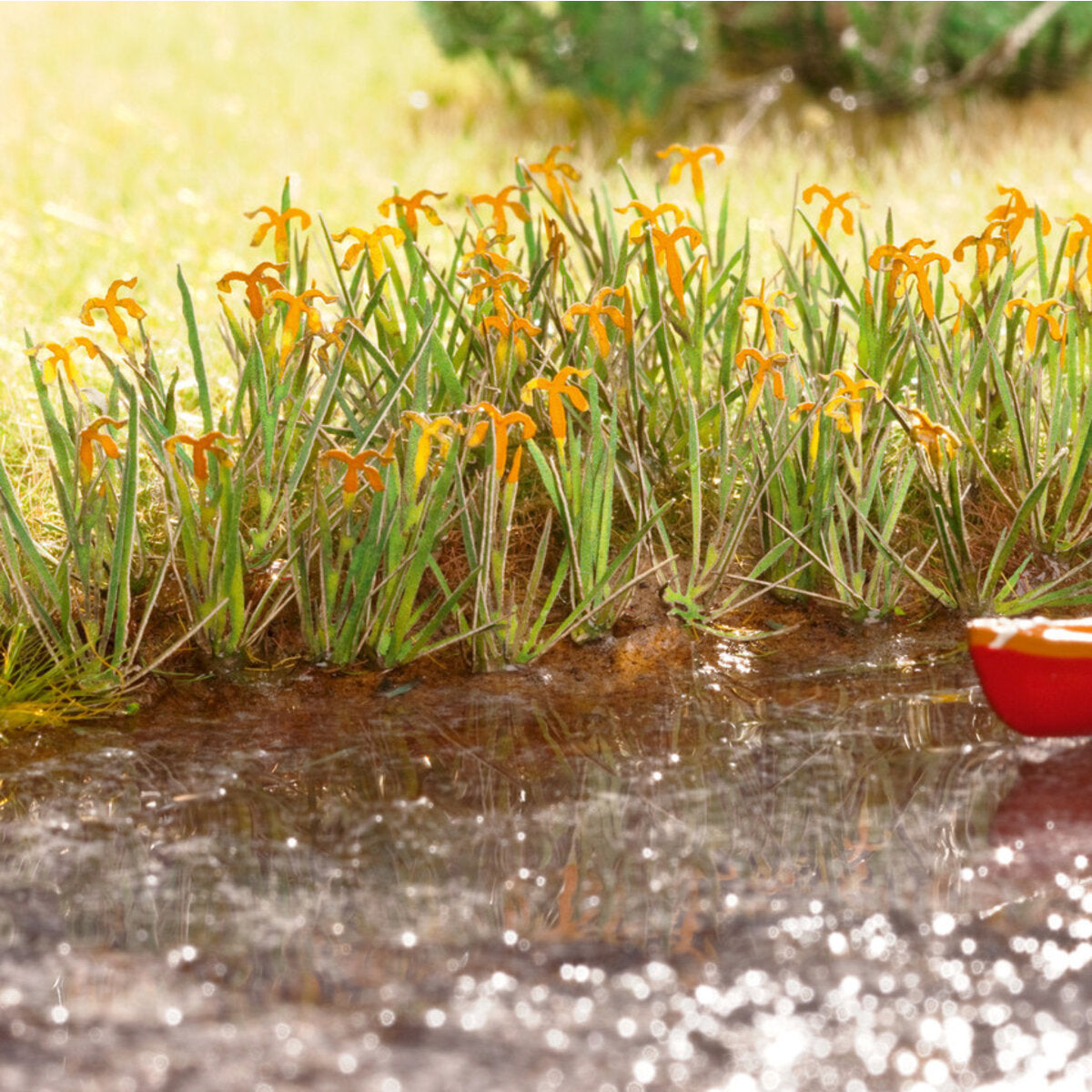 noch-14140-h0-wasserlilien-DA8D6FF13.jpg