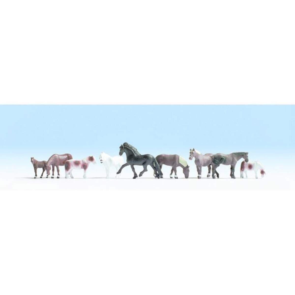 noch-36761---pferde-4C90CCBD1.jpg