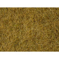 noch-wildgras-beige-50g-90DA22DF1.jpg