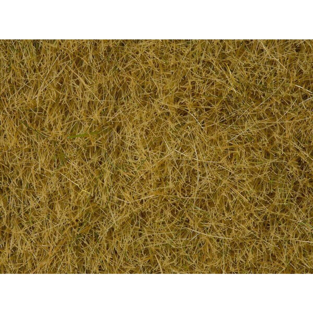 noch-wildgras-beige-50g-90DA22DF1.jpg