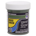 woodland-scenics-wcw4533-wassergrundfarbe-moosgruen-C7C2D4AE1.jpg