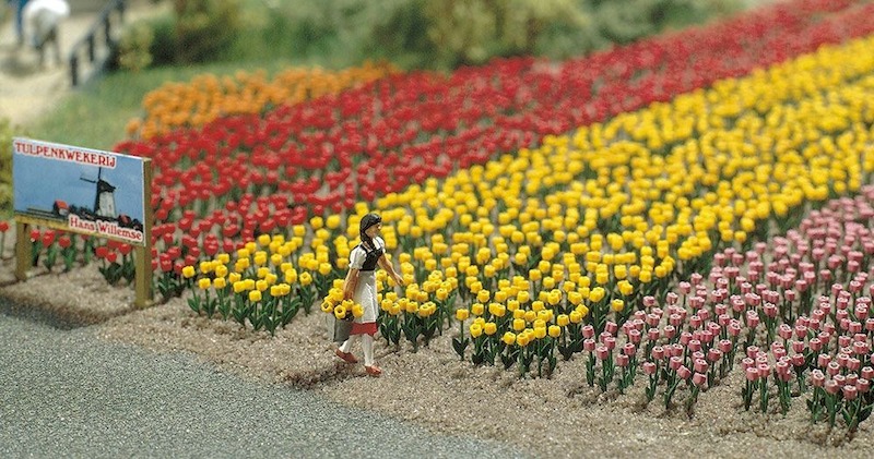 Picture of Busch 1206 120 Tulpen