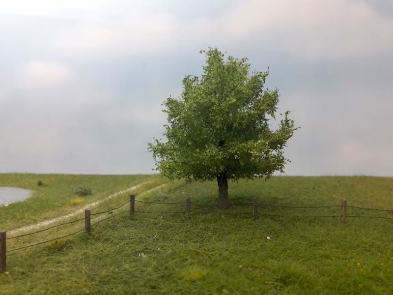 Bild von Silhouette 28051 H0 Eiche, Frühling, Größe 17-22cm