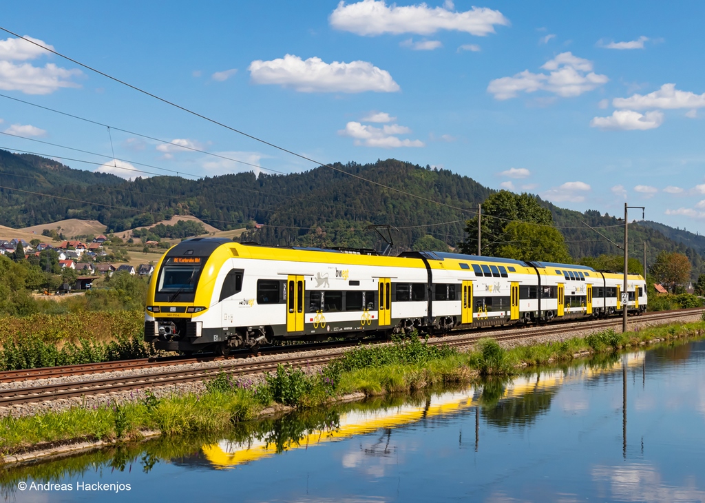 Bild von Märklin 38463 H0 E-Triebzug Desiro HC bwegt