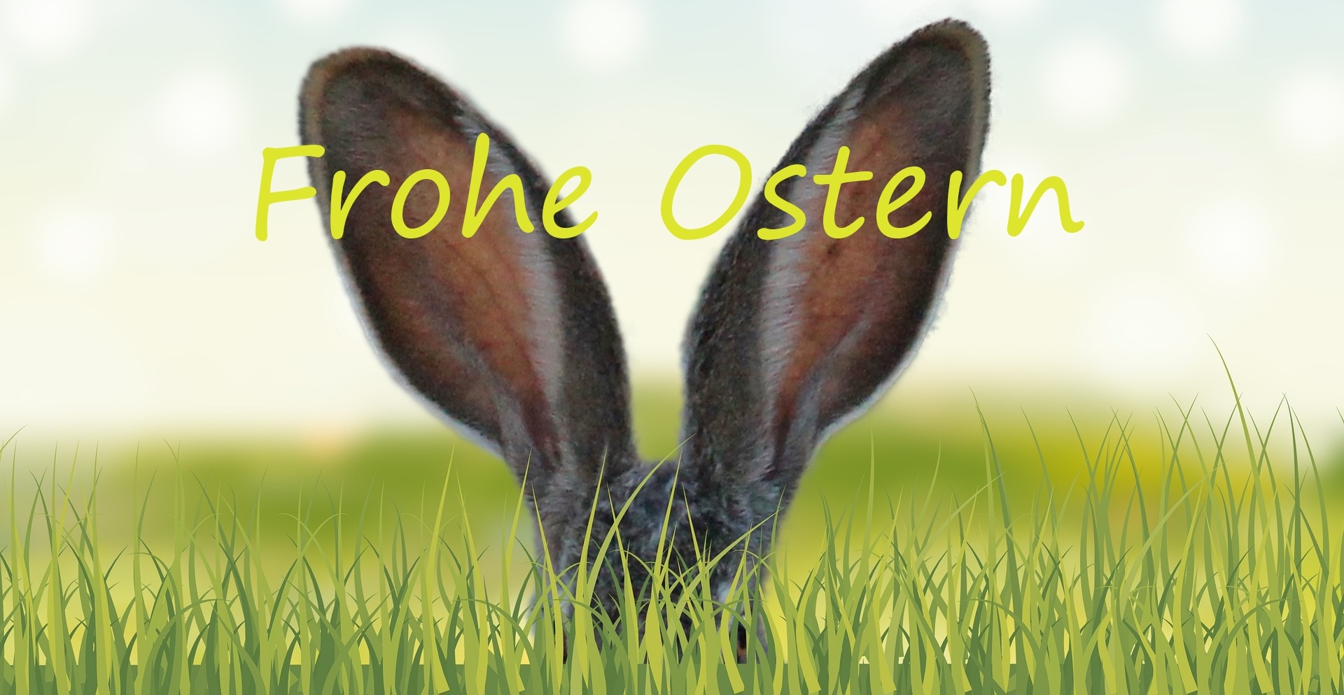 Frohe Ostern